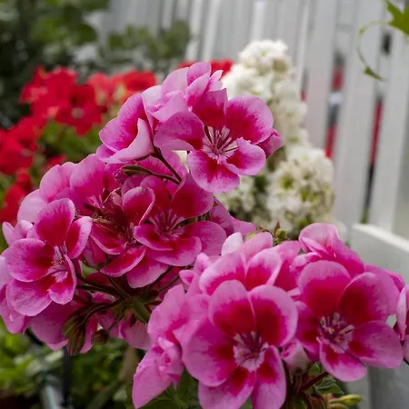 Porto (adults Only) 4* ナウサ