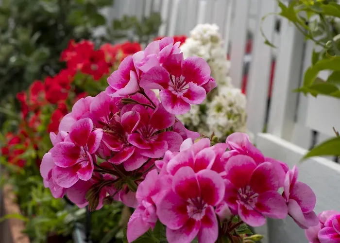 Porto (adults Only) 3* Νάουσα